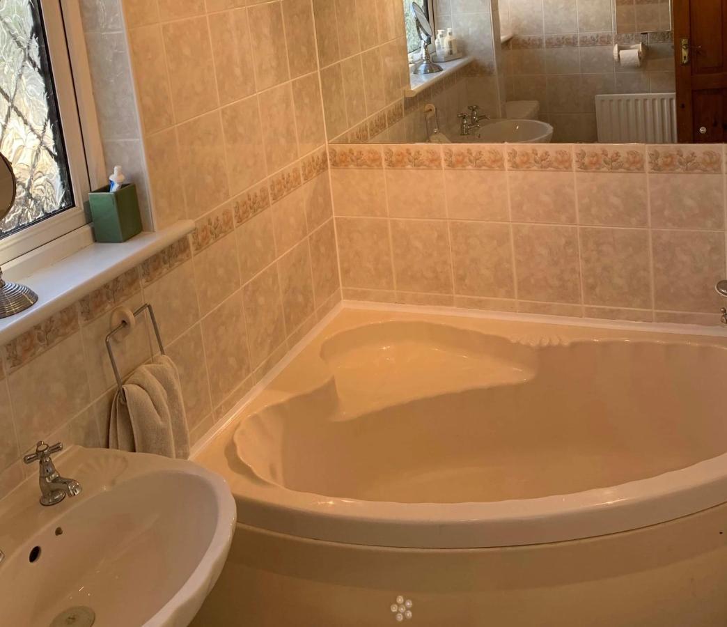 Shazzamm Apartment New Quay Екстериор снимка